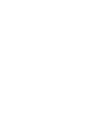 Икона 4.4