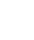 Икона 5.4