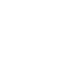 Икона 3.5